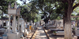Muertes sin fin
