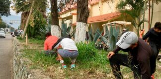 Ayuntamiento de Oaxaca sanciona a infractores que depositaron basura en la vía pública