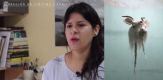 “Noches de Arte” llega a su edición 20 como referente de la diversidad artística