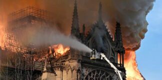 Notre Dame busca a artesanos para su restauración