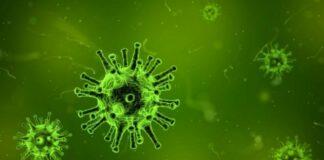 OMS, preocupada por presencia de Covid-19 en animales y productos congelados