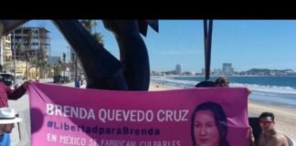 Se cumplirá petición de ONU de reparar daño a detenida por caso Wallace: AMLO