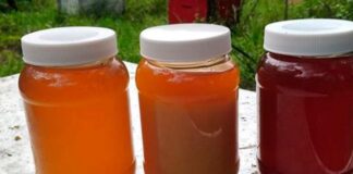 Pequeños productores de Oaxaca, preocupados por prohibición del plástico