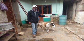 Mantiene Ayuntamiento de Oaxaca atención oportuna a denuncias por maltrato animal