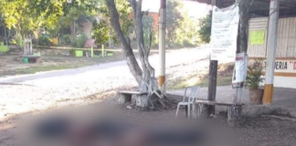 Abandonan cadáveres “mutilados” en Soyaltepec