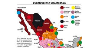Oaxaca, con presencia de 6 carteles de narcotráfico: UIF