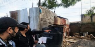 Atiende Ayuntamiento de Oaxaca de Juárez 361 denuncias por presunto maltrato animal