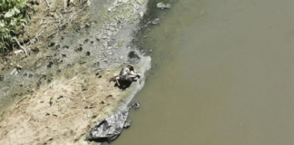 Encuentran cadáver de bebé en las riberas del Río Atoyac