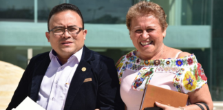 Delfina Guzmán, nueva líder de los diputados de Morena; Pável, vicecoordinador