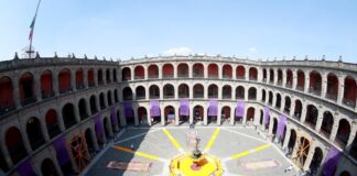 Una flor para cada alma’ que sucumbió al Covid