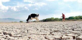 Padecen 8 municipio de Oaxaca sequía extrema