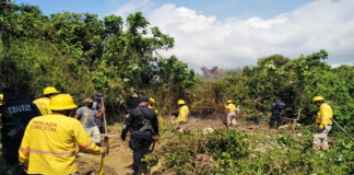 Sofocan incendio en Santa María Tonameca