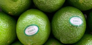 Se consolida Oaxaca en la exportación de productos agroalimentarios