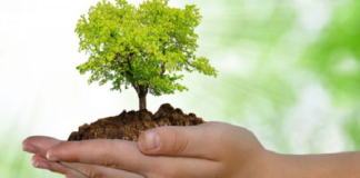 EfeméridesRIO: Día internacional para la prevención de la explotación del medio ambiente