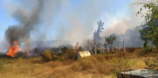 Se incendian pastizales en Xoxocotlán