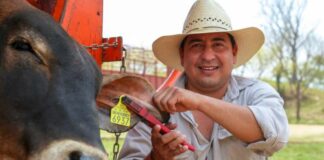 Oaxaca entre las únicas cuatro entidades del país que registran disminución de la pobreza laboral