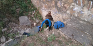 Localizan cadáver de hombre en San Antonio de la Cal