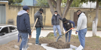 Coordina Ayuntamiento capitalino tequio ciudadano en el Fraccionamiento Los Sauces