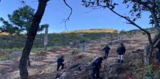 Localiza Fiscalía a 3 personas sin vida en cueva de Coatlán