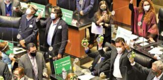 Senado aprueba uso lúdico de la mariguana; consumo, prohibido en lugares públicos