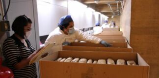 Recibe AGEO el Archivo Histórico del Poder Judicial del Estado de Oaxaca