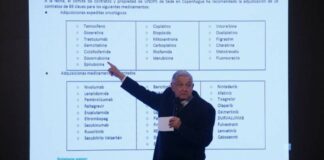 AMLO anuncia pago de mil mdd a ONU para compra de medicamentos en el extranjero
