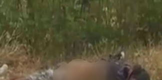 Localizan cadáver en carretera Transistmica