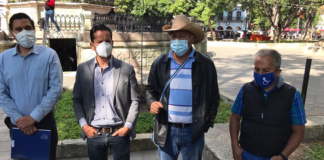 Con “fines políticos y electorales” el proyecto de Harp Helú para restaurar árboles del zócalo: Ecologistas