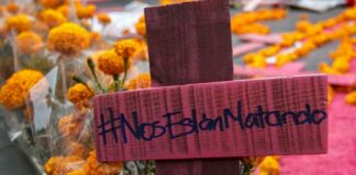 De 483 feminicidios en Oaxaca en los últimos 4 años, 100 han ocurrido en 2020