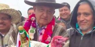 AMLO indulta a guajolote que le regalaron en Oaxaca
