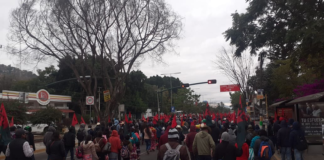 Marchan organizaciones sociales en apoyo a la Cuarta Transformación