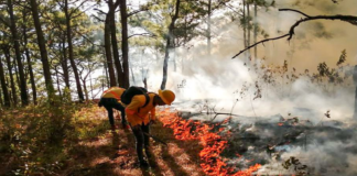 Continúa incendio en los Chimalapas