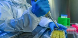 Reino Unido identifica 2 casos de nueva cepa de coronavirus