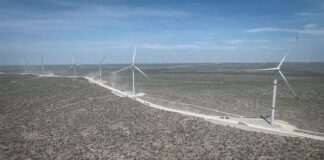 Atractivo renovable de México se hunde: 250 proyectos están en riesgo