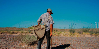 No termina el año y en Oaxaca 42 municipios de Oaxaca enfrentan sequía severa