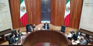 Tribunal Electoral vincula obligatoriamente a partidos a postular 7 mujeres a gubernaturas de 2021