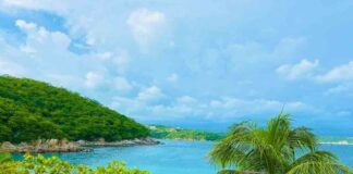 Caída anual de 54% en ingresos de turismo extranjero: Inegi