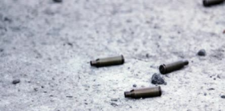 91 defensores asesinados en sexenio de AMLO, 16 en Oaxaca: Educa