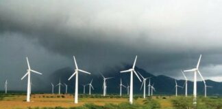 Banco Mundial destaca potencial de México para energías renovables