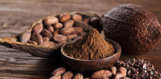 México importa 80% del cacao que consume la industria
