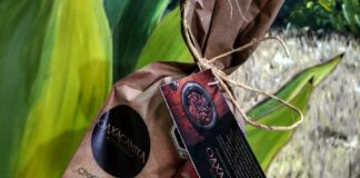 Este emprendedor hace que el chocolate de Oaxaca se conozca en el mundo