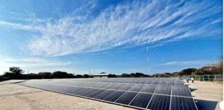 Olvida granja solar la CFE en Oaxaca