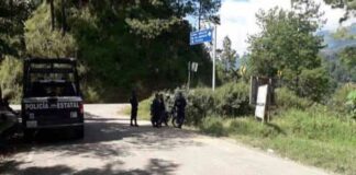 Ejecutan a músicos en San Vicente Coatlán