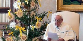 Critica Papa a quienes vacacionan en pandemia