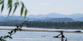 Fidel, activista asesinado, defendió 14 años su tierra de un megaproyecto de CFE en Oaxaca