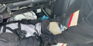 Asegura GN más de 40 kilos de mariguana en Zimatlán