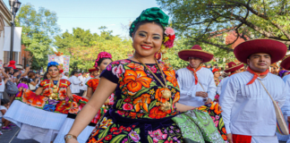 Retrato de Oaxaca en siete pinceladas
