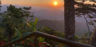 Este es Pluma Hidalgo, el pueblo cafetalero de Oaxaca que pocos conocen