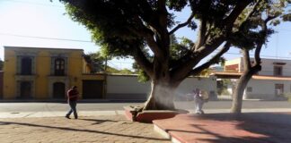 Desinfectan espacios públicos del barrio de los Siete Príncipes