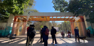 STEUABJO para labores en la UABJO